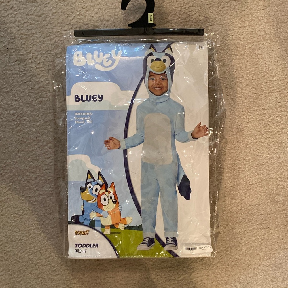 Bluey Toddler Halloween costume!